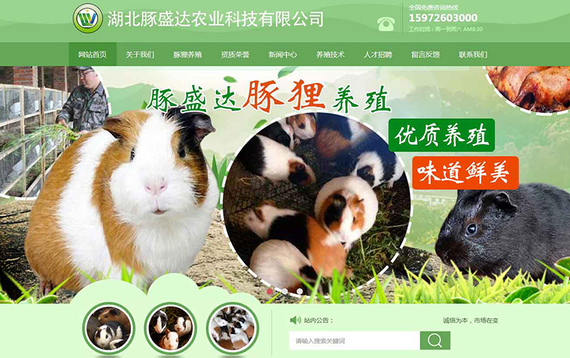 湖北豚盛達農業科技有限公司